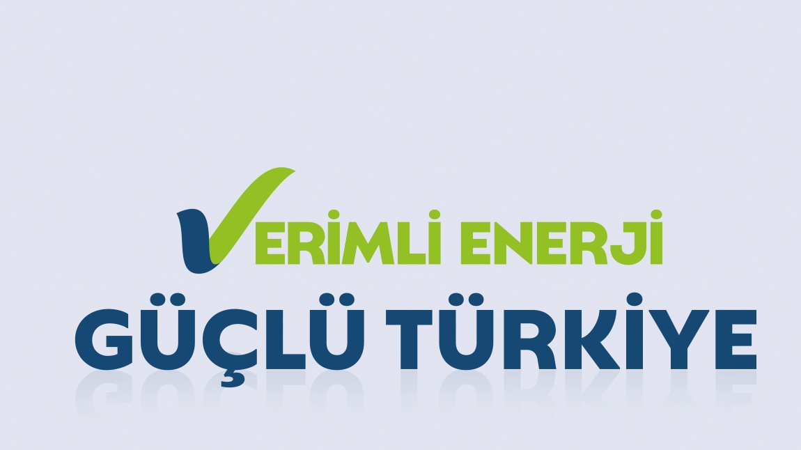 Türkiye'nin Enerjisi; Türkiye'nin Geleceği